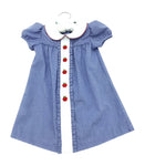 Edgehill Collection Girls Blue Gingham Dress with Red Apple Appliques